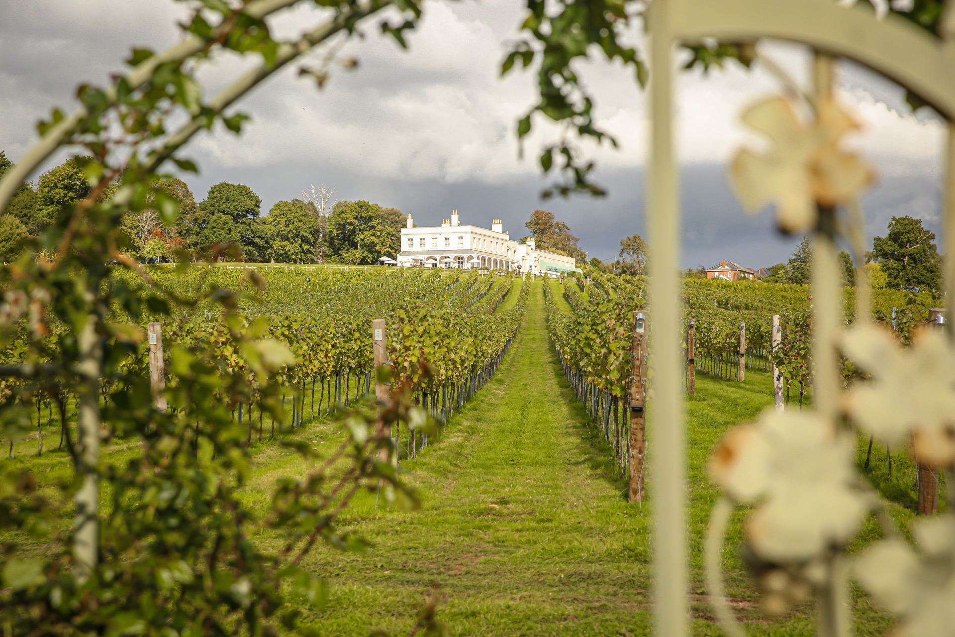 A Taste of Devon