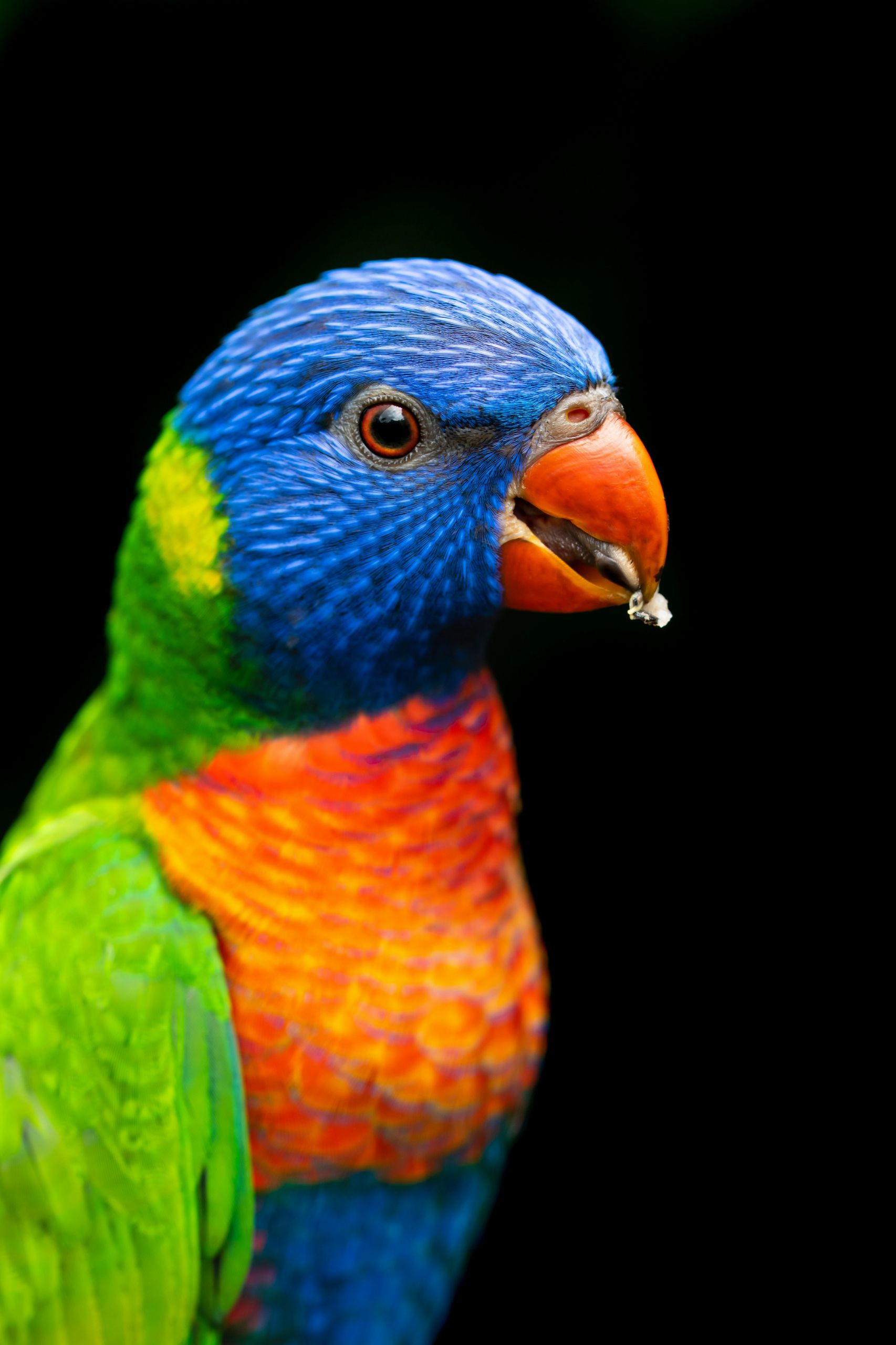 david-clode-LYmQ1Y9uB5I-unsplash.jpg