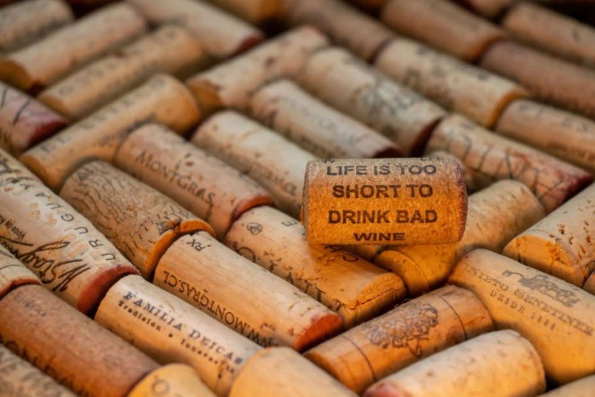 Curating your wine collection.jpg