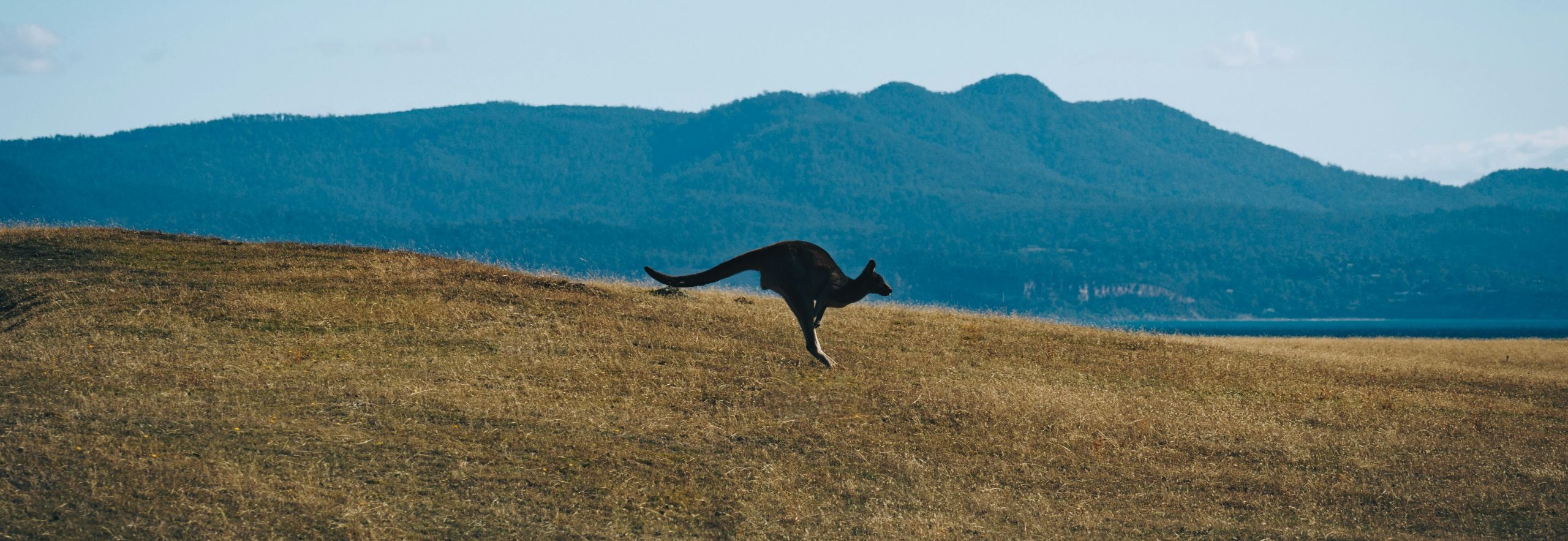 Australia section banner image.jpg
