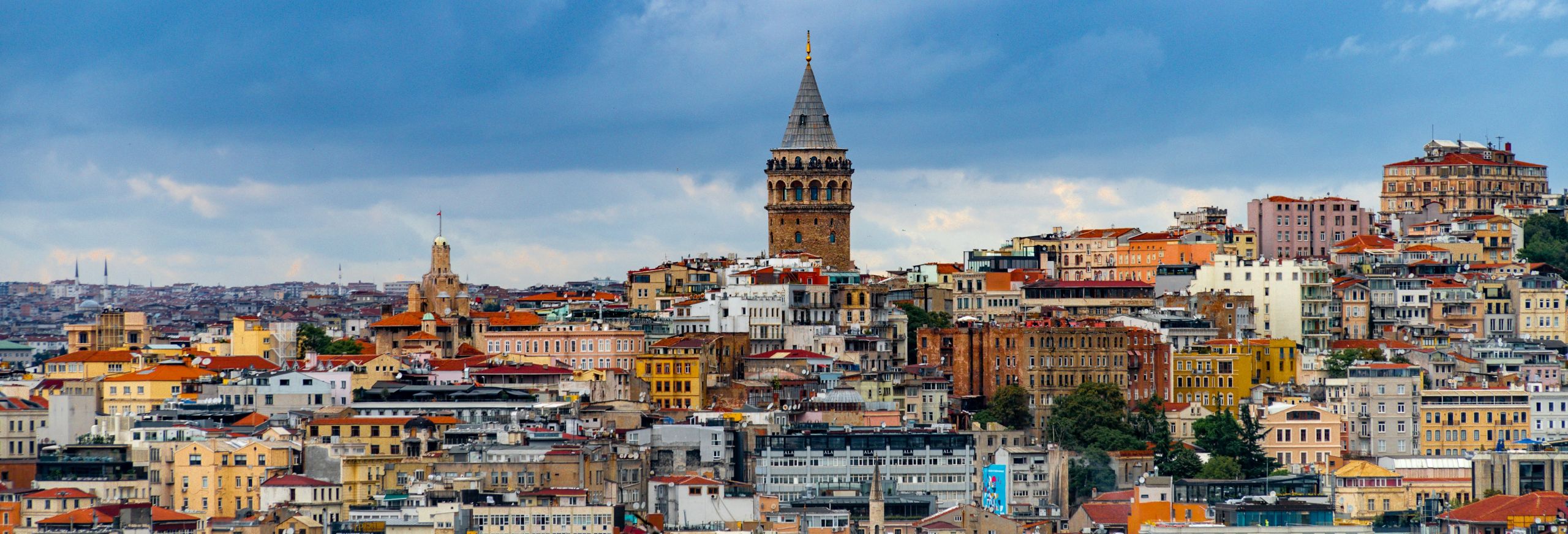 Wine Bar Review: Wayana in Istanbul