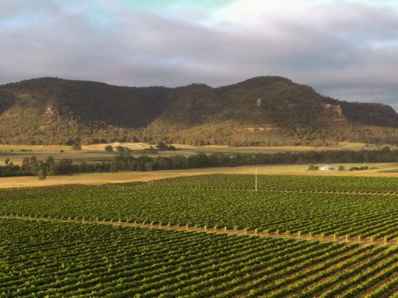 Banner - Hunter Valley article.jpg