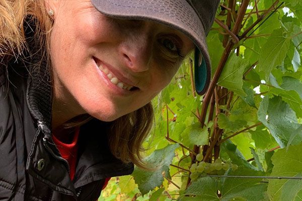 bb-vinyard-crop.jpg